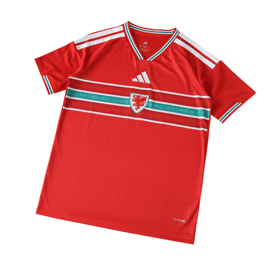 Gales camiseta Mundial